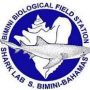 Bimini-sharklab